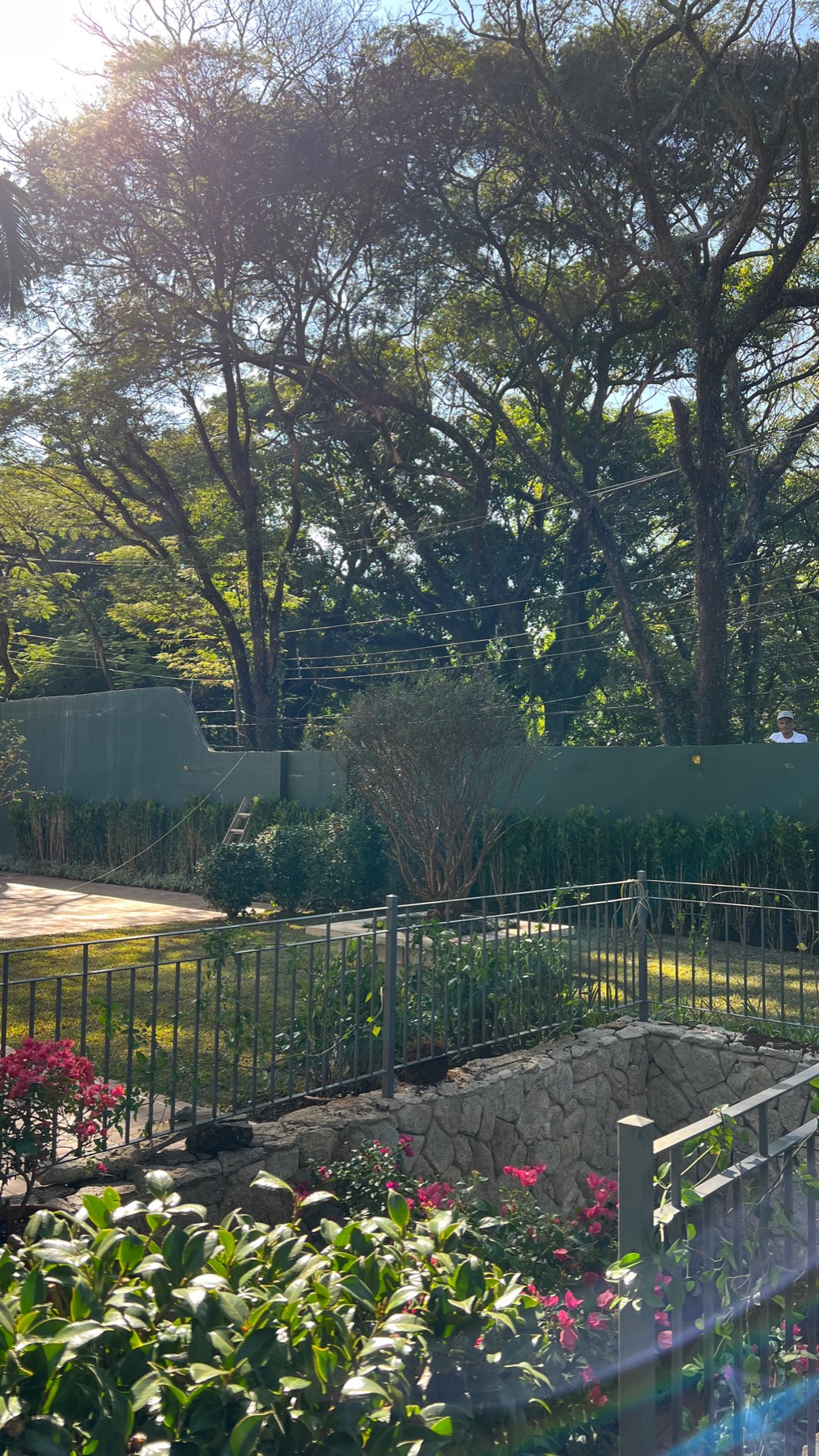 São Paulo · NATUR Ecosystem