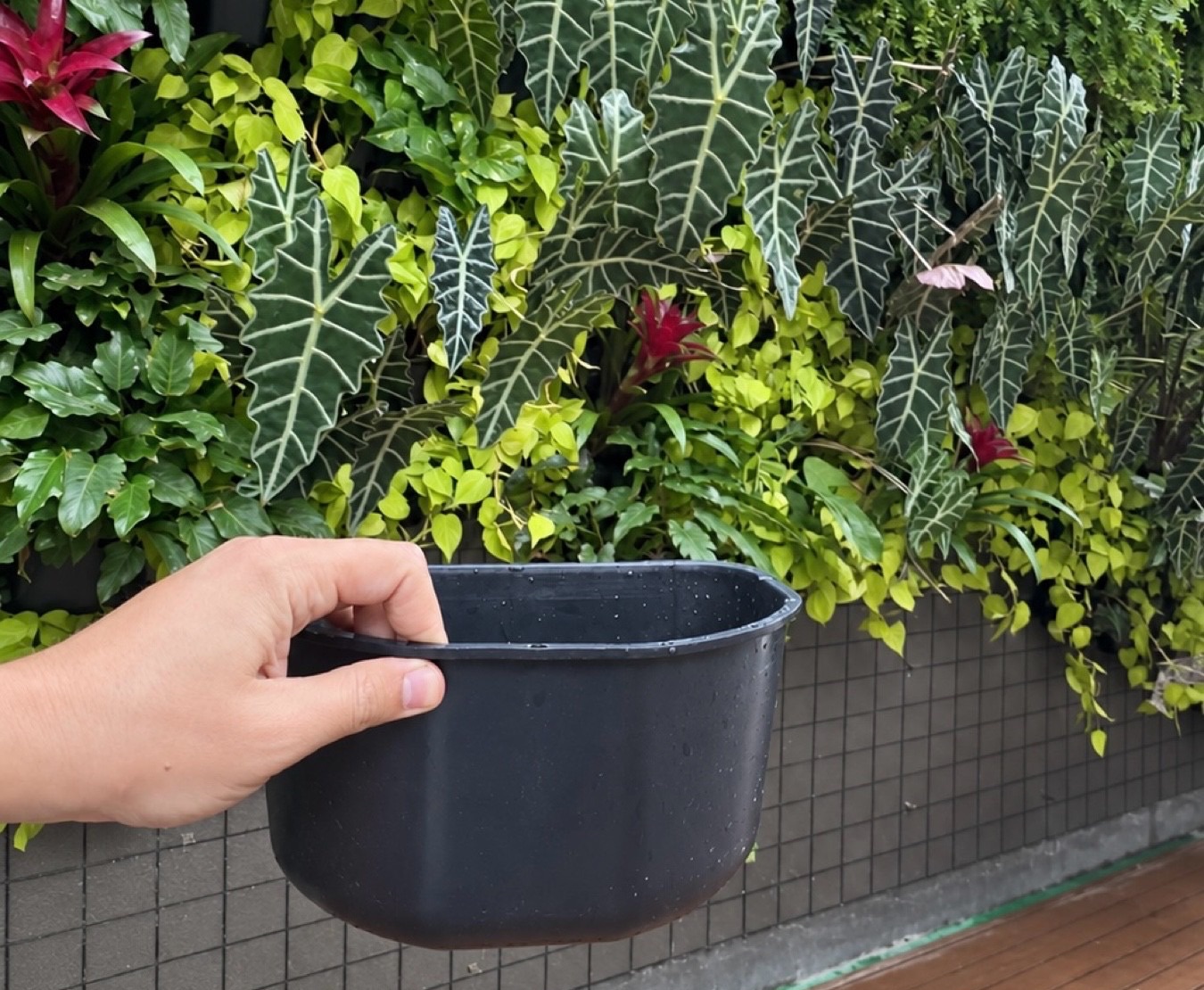 Green Pot sendo encaixado em jardim vertical NATUR