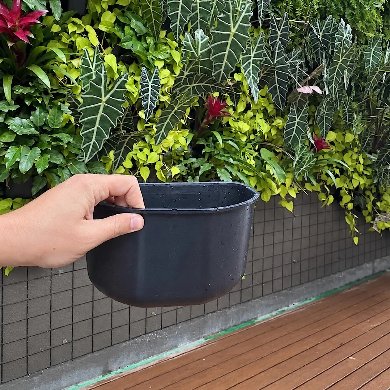 Jardim vertical · NATUR Ecosystem