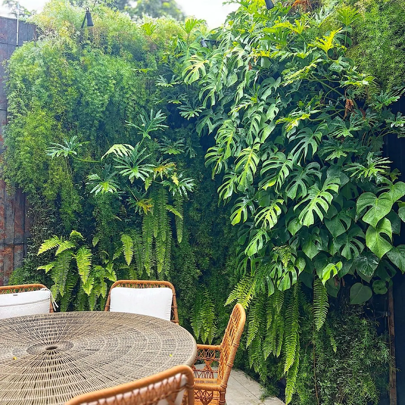 Jardim vertical · NATUR Ecosystem