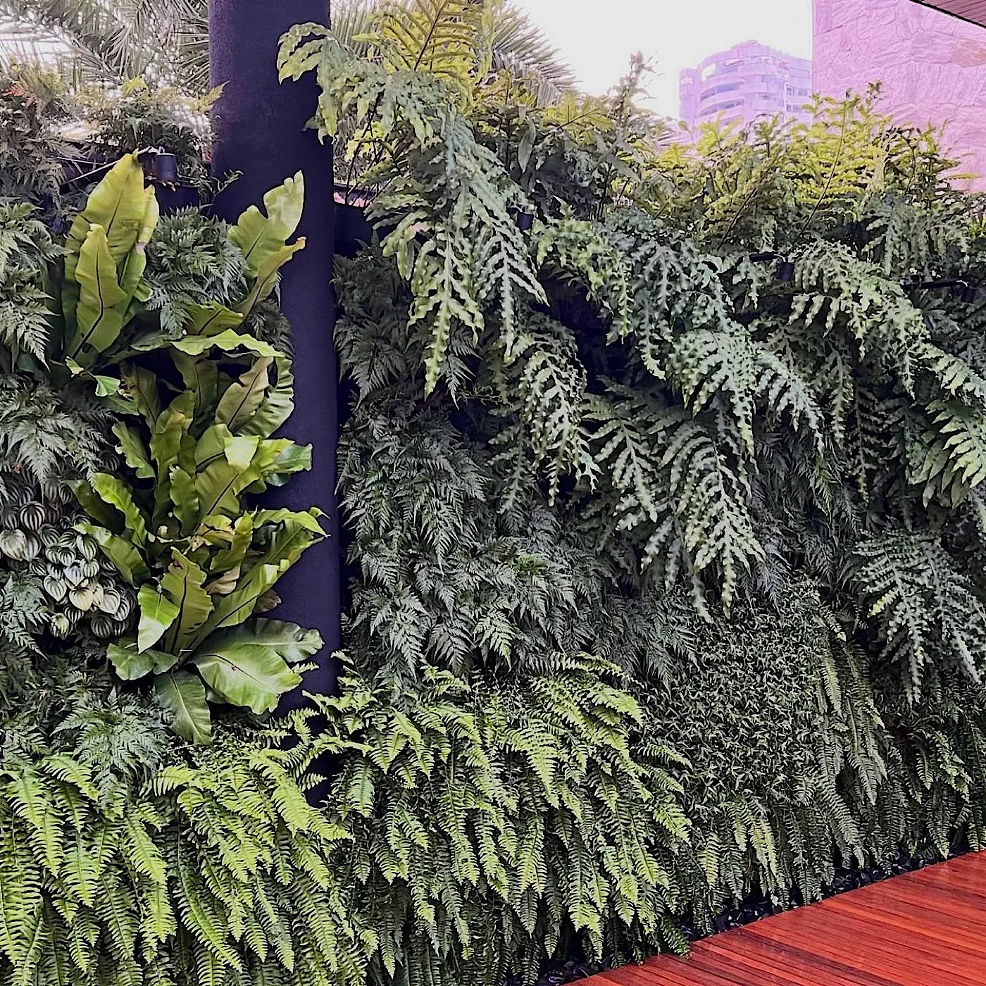 Jardim vertical · NATUR Ecosystem